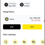 ilustrasi aplikasi treasury